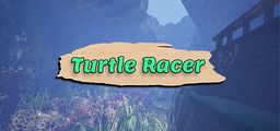 Logo: Turtle Racer