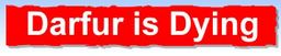 Logo: Darfur is Dying