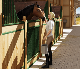 Logo: Riding Academy 2