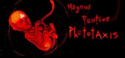 Logo: Magnus Positive Phototaxis