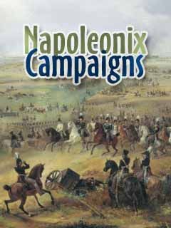 Logo: Napoleonix Campaigns