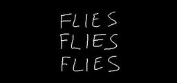 Logo: Flies Flies Flies