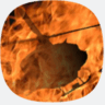 Logo: HellCopter