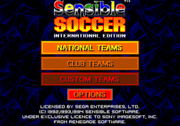 Logo: Championship Soccer '94