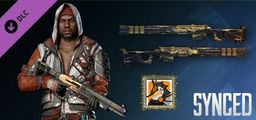 Logo: Synced: Winterfest Pack