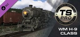 Logo: TS Pro: WM H-9 Class