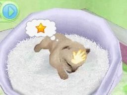 Logo: Petz: Kittens