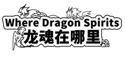 Logo: Where Dragon Spirits