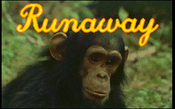 Logo: Runaway
