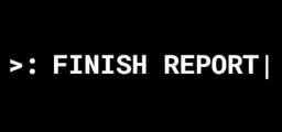 Logo: Finish Report