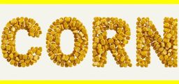 Logo: Corn