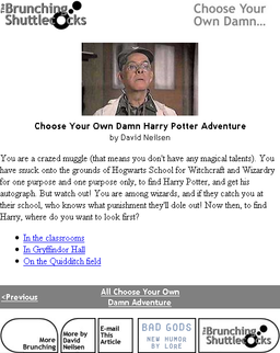 Logo: Choose Your Own Damn Harry Potter Adventure