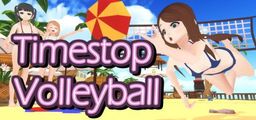 Logo: Timestop Volleyball