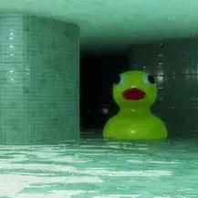 Logo: The Wetrooms: Liminal Pools