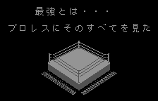 Logo: Fire Pro Wrestling