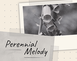 Logo: Perennial Melody