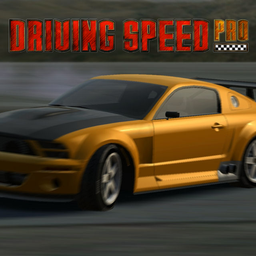 Logo: Driving Speed 2