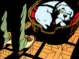 Logo: A Case for Cap & Co