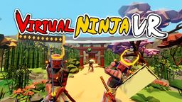 Logo: Virtual Ninja VR