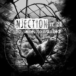 Logo: Injection π 23: No name, no number