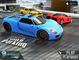 Logo: Supercar Police Parking