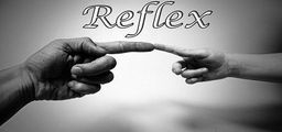 Logo: Reflex