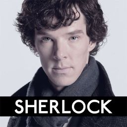 Logo: Sherlock: The Network