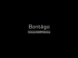 Logo: Bontãgo