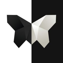 Logo: Symmetry: Path to Perfection