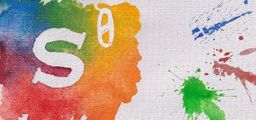 Logo: S0
