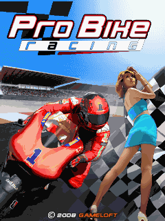 Logo: Pro Bike Racing