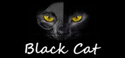 Logo: Black Cat