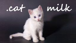 Logo: .cat Milk