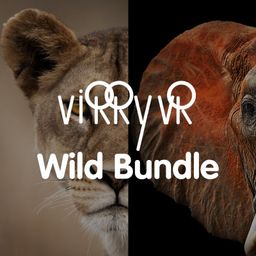 Logo: Virry VR: Wild Bundle