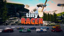 Logo: Tiny Racer