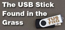 Logo: The USB Stick Found in the Grass