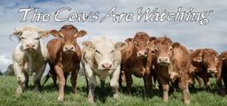 Logo: The Cows Are Watching
