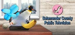 Logo: Salamander County Public Television