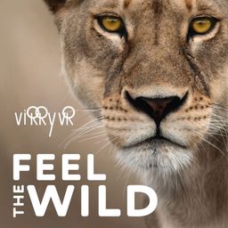 Logo: Virry VR: Feel the Wild
