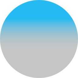 Logo: Flight Simulator