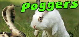 Logo: Poggers