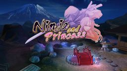Logo: Ninja and Princess