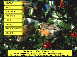 Logo: Super VGA Puzzle