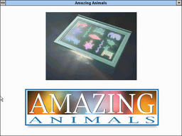 Logo: Amazing Animals: Activity Center