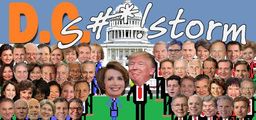 Logo: D.C. S#*!storm