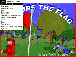 Logo: Capture the Flag