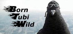 Logo: Born Tubi Wild