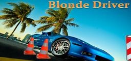 Logo: Blonde Driver