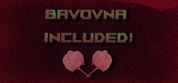 Logo: Bavovna Included!