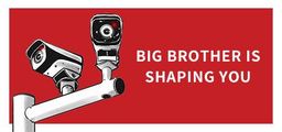 Logo: Big Brother Is Shaping You